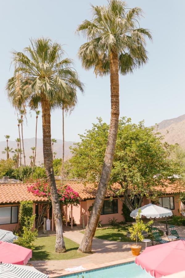 Les Cactus Otel Palm Springs Dış mekan fotoğraf